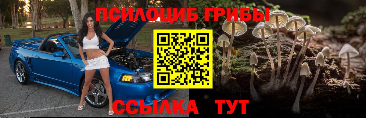 Псилоцибиновые грибы мухоморы  Галлюциногенные грибы Psilocybine cubensis  Вход с VPN  Волоколамск 