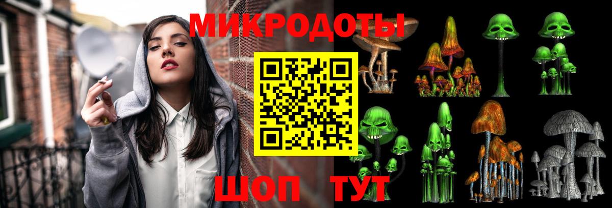 Галлюциногенные грибы прущие грибы Волоколамск